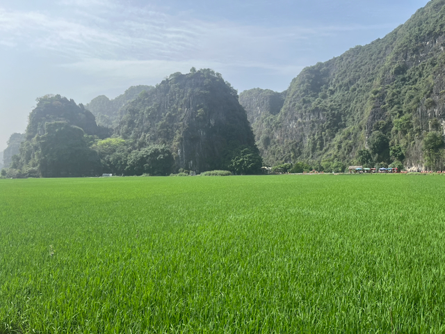 When to go to Vietnam?