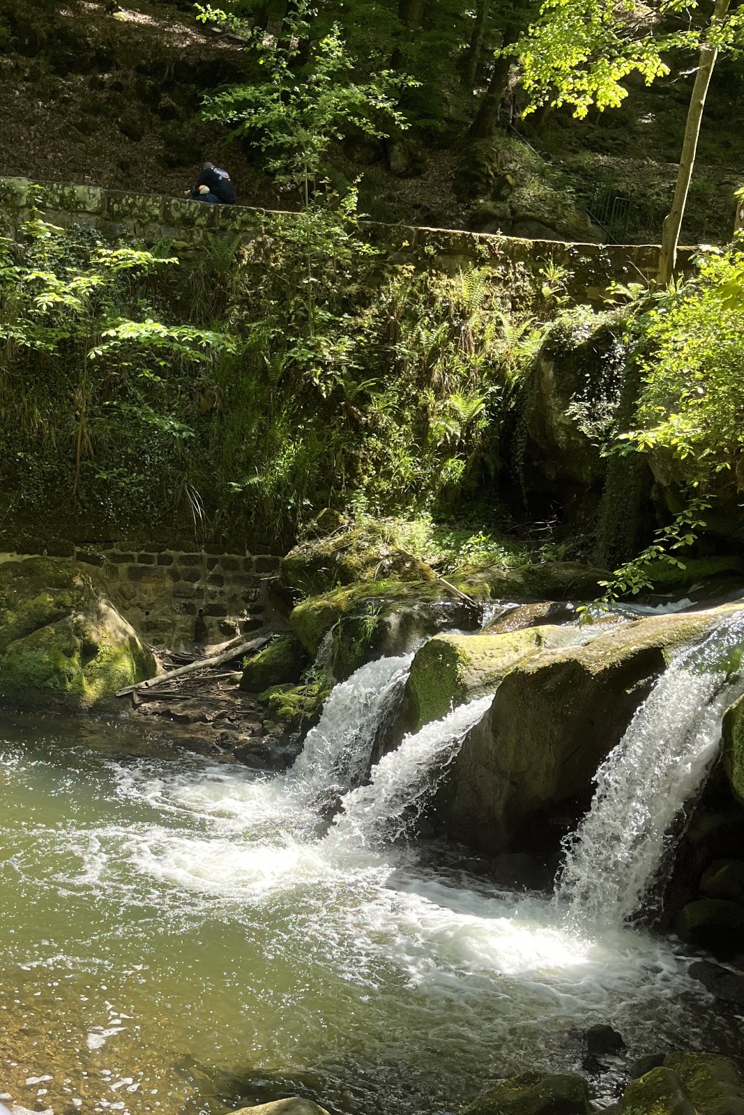 The Mullerthal in Summer: Twenty Degrees Cooler Than Everywhere Else (2/2)